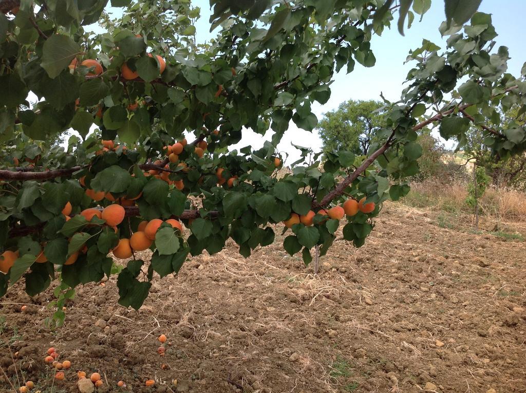 B&B A Robba De Pupi Agrigento Eksteriør billede